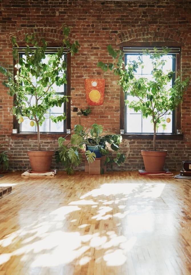 New Vibe Yoga 10th Anniversary Free Classes — NYC for FREE New Vibe Yoga 10th Anniversary Free Classes — NYC for FREE